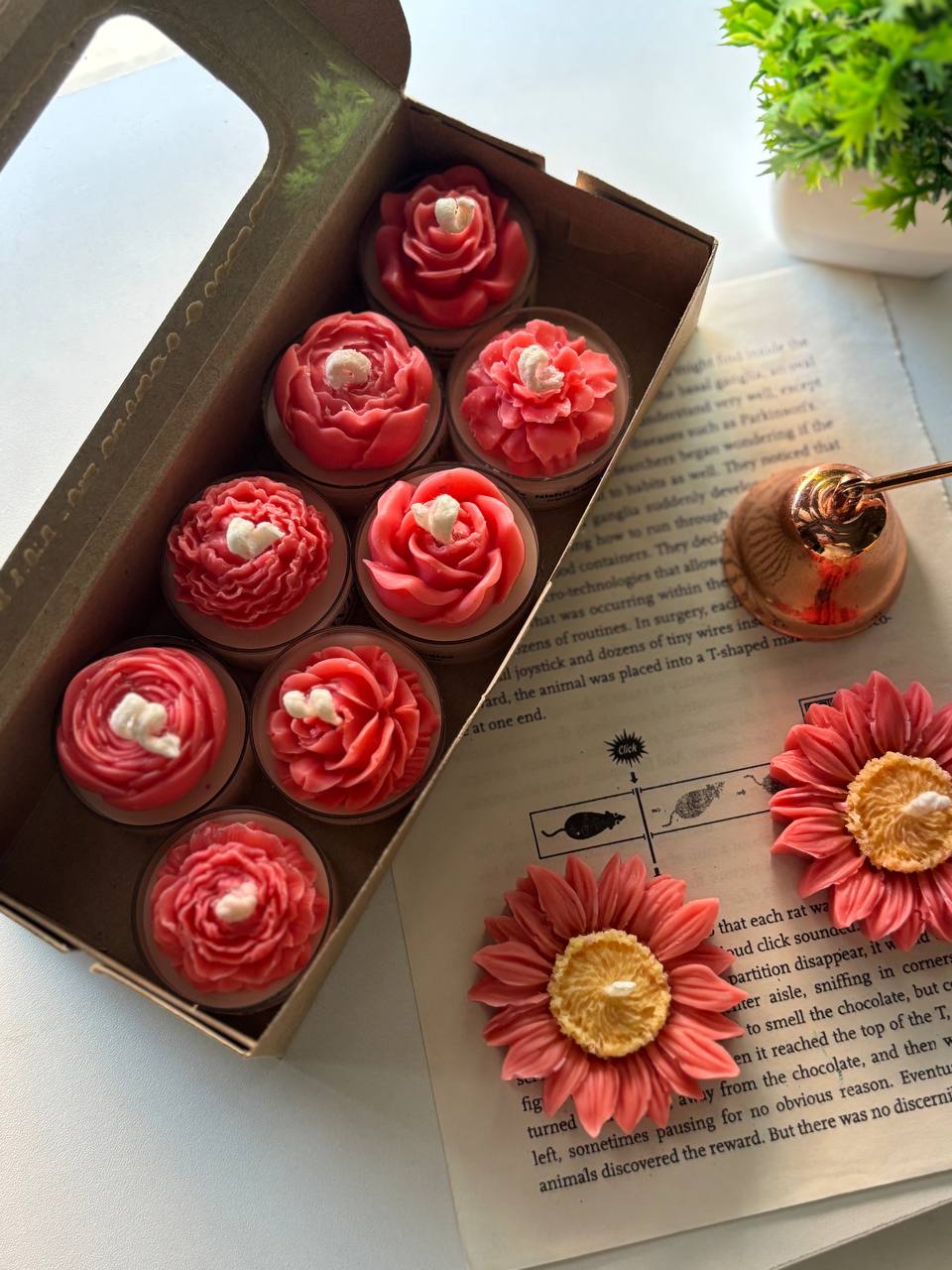 SAANJH | Floral Handcrafted Scented T-Light Candles | Set of 9